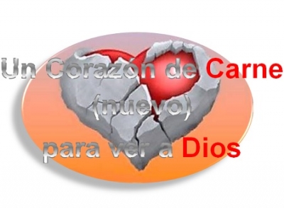 Un Corazón De Carne (nuevo) Para Ver a Dios